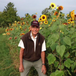 Al with his sunflowers